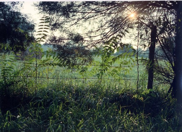 Horse Fence at Sunset
