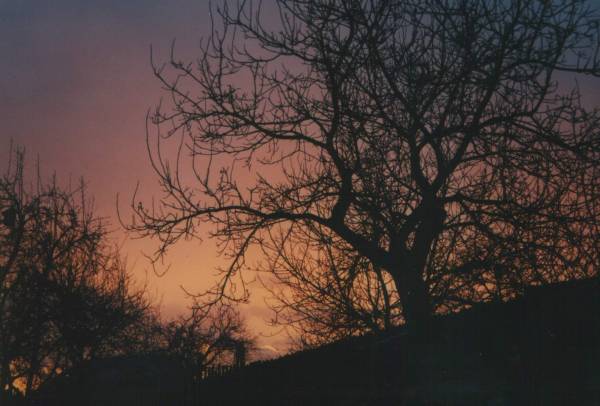 sunset2