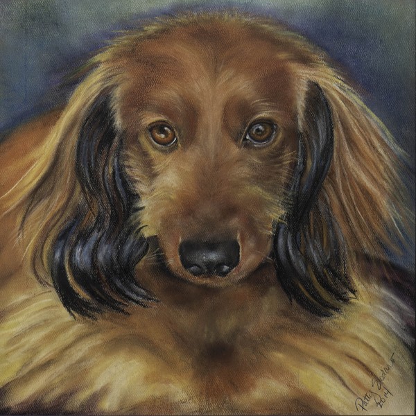 Dashing Duke the Dachshund