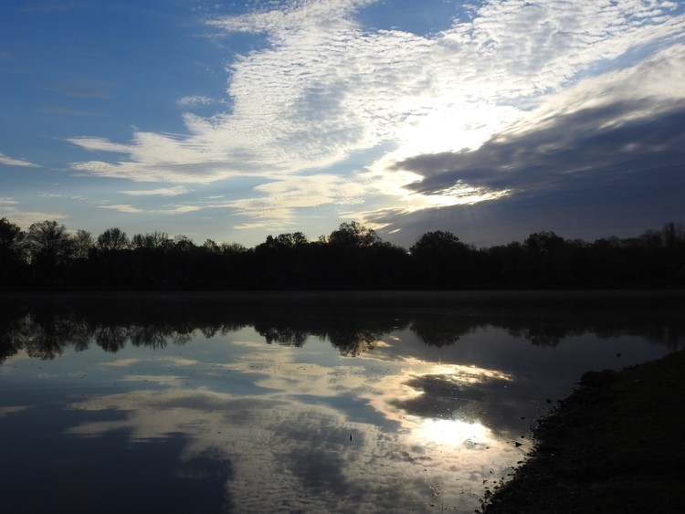 Light Rising