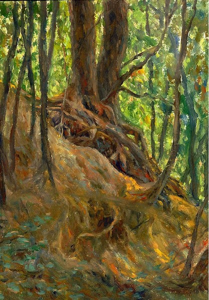 Roots