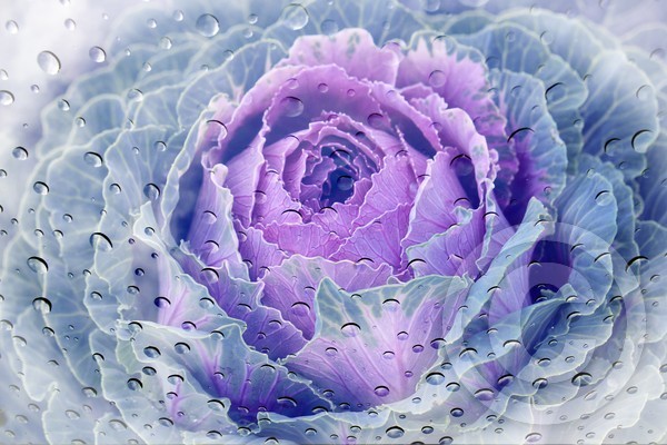 Raindrops are falling