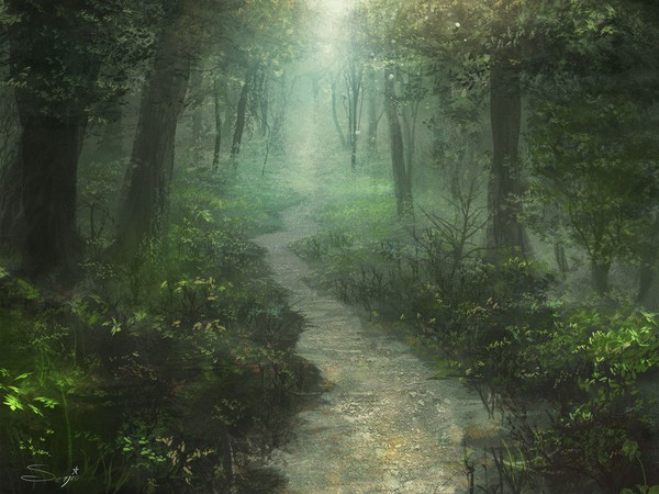 Forest path