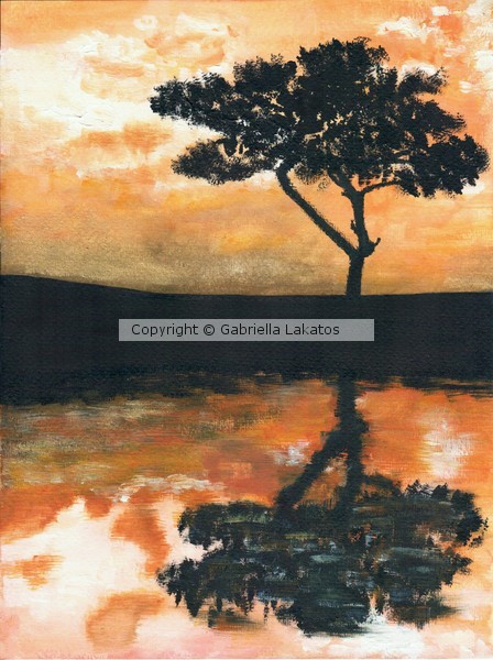 Lonely tree in sunset