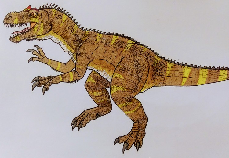 Allosaurus