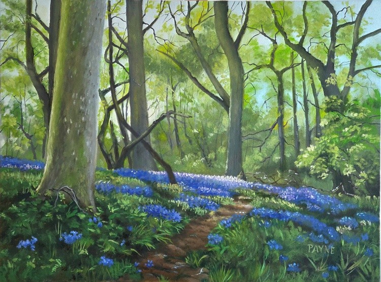 Forest Path with Blue Bells 