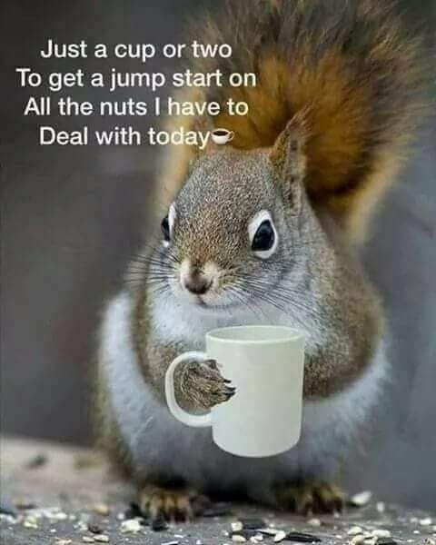 mentally ill patients today ... demoncrats 