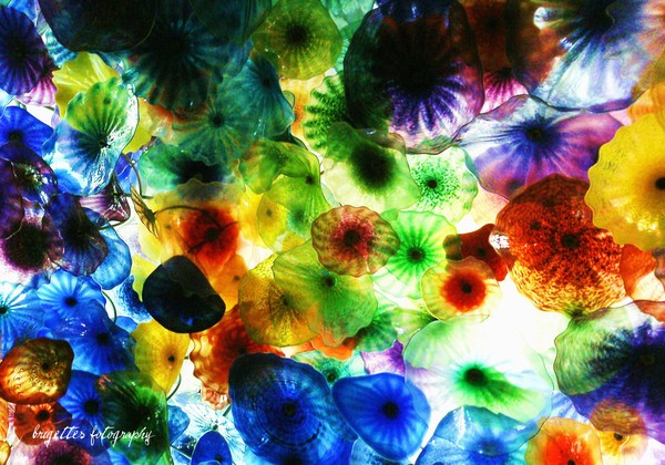 Colorful amazing JellyFish
