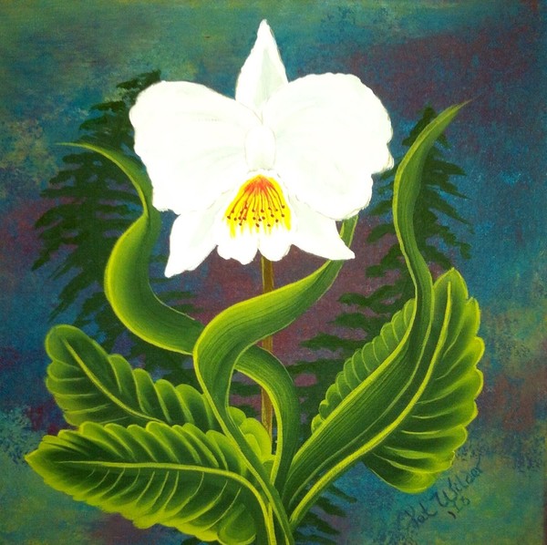 Orchid