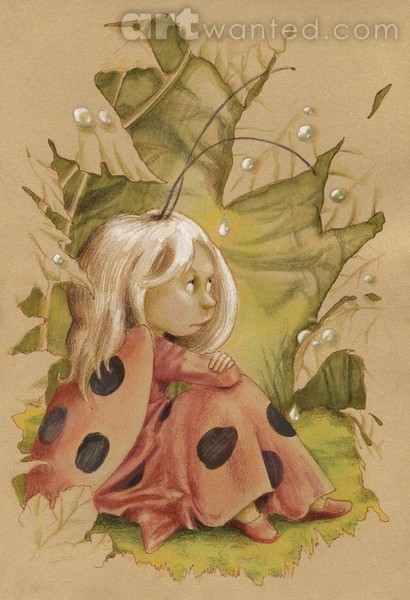 Ladybug Fairy