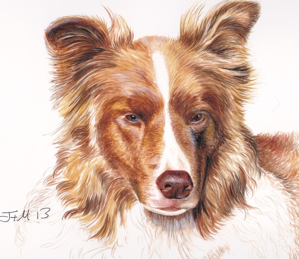 river dog