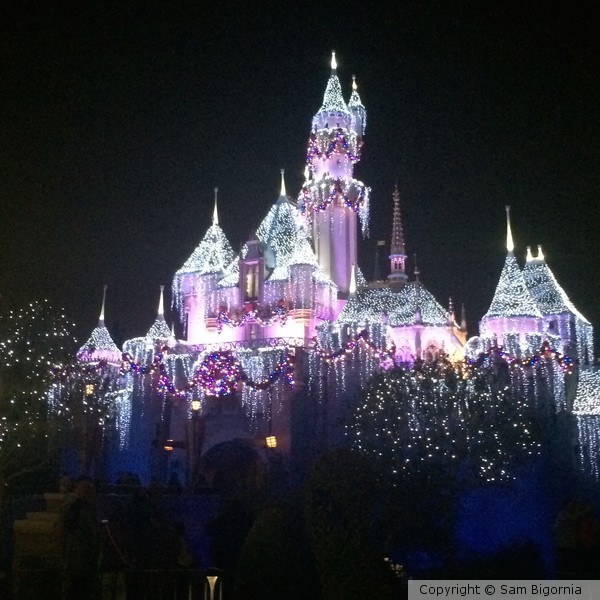 Twinkle Lights