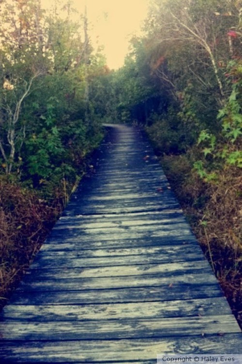 Our Path