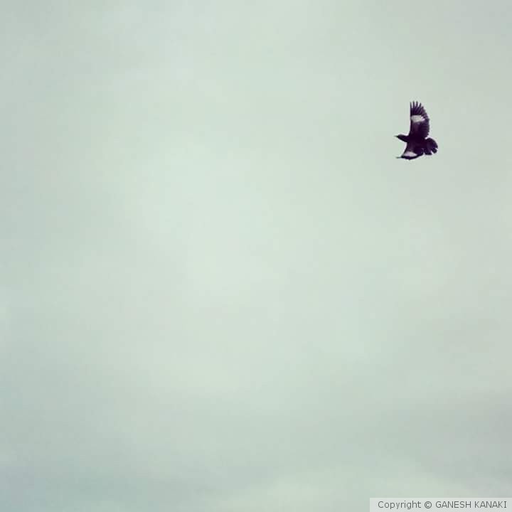 FB IMG 1474010914140