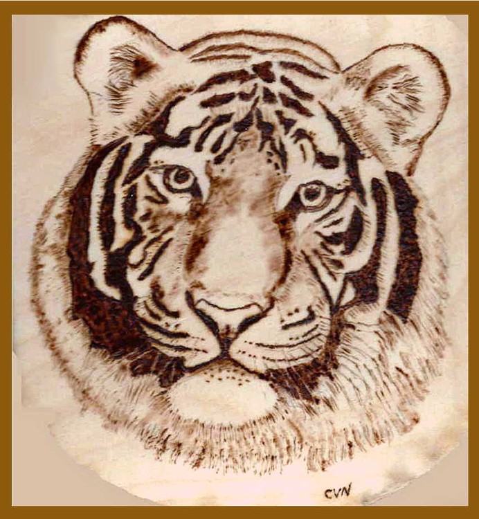 tiger