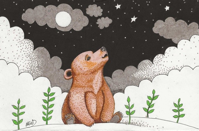 the stars are pretty
