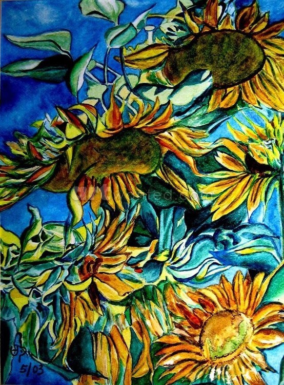 Sunflower