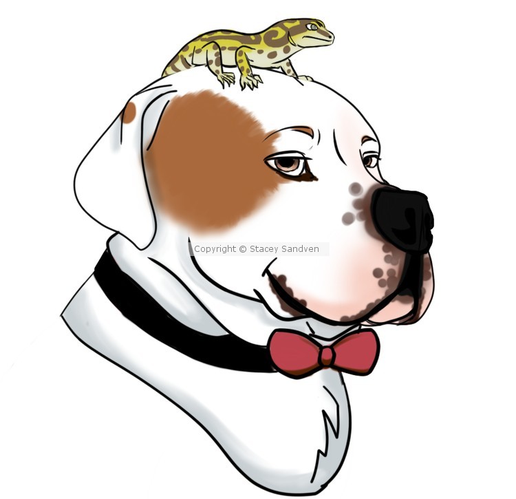 {Request} A dog and His reptile friend