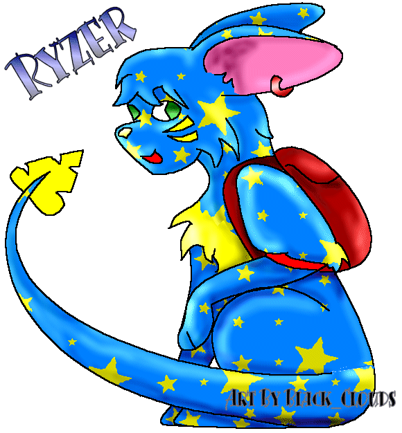Ryzer