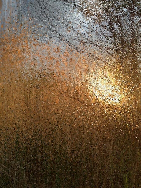 Fall Morning