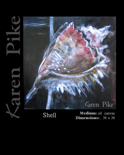  shell