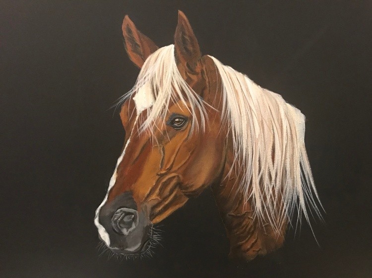 BROWN HORSE-