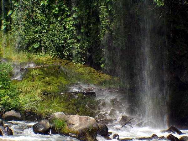 Mossbrae Falls II