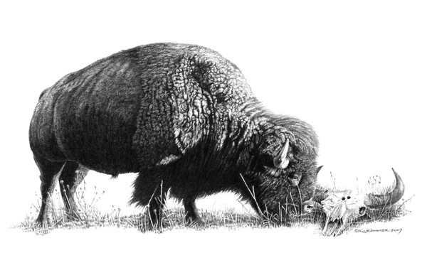 HONORING THE DEAD-PENCIL STUDY