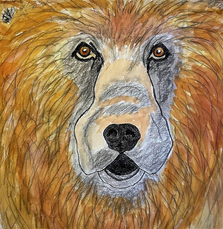 Bear Face 3 (2)