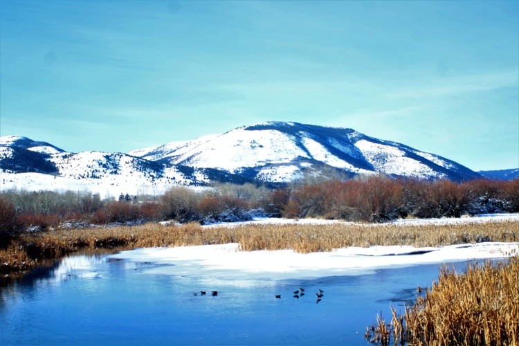 Montana mountain