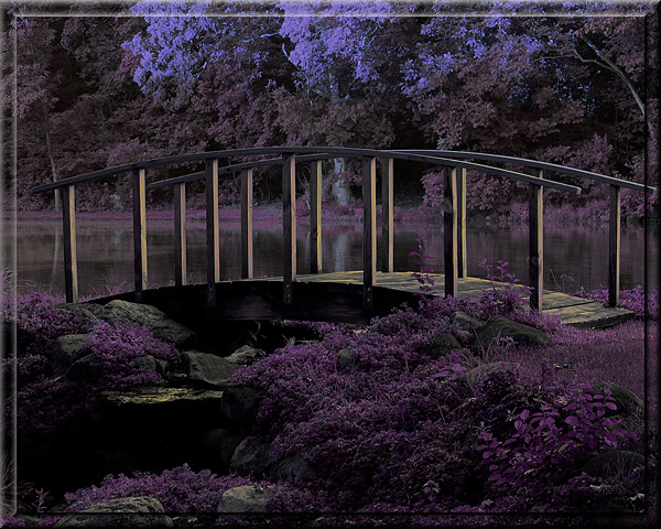 Purple Haze