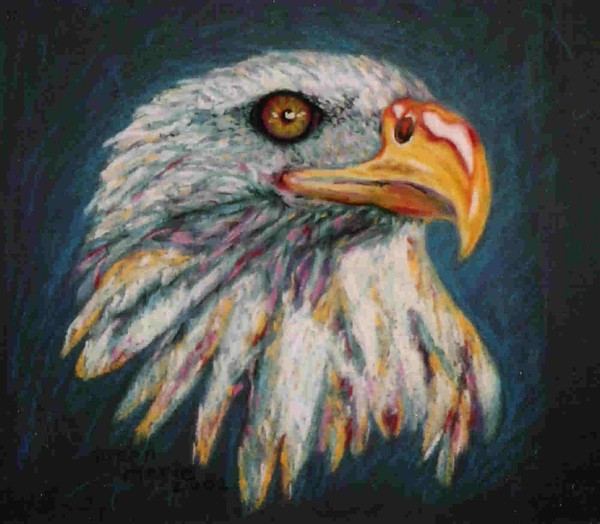 Proud Eagle 