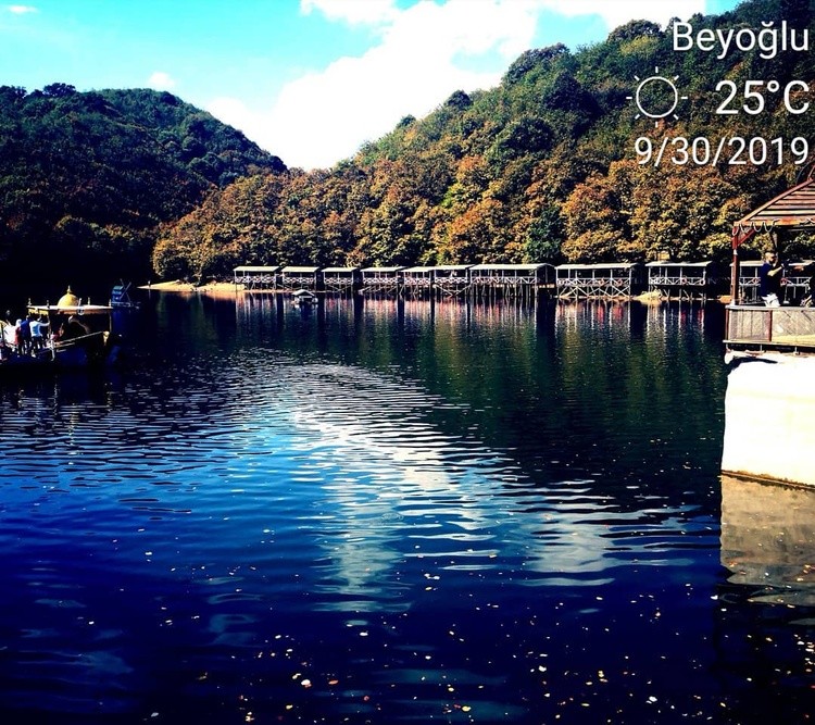  Awesome place