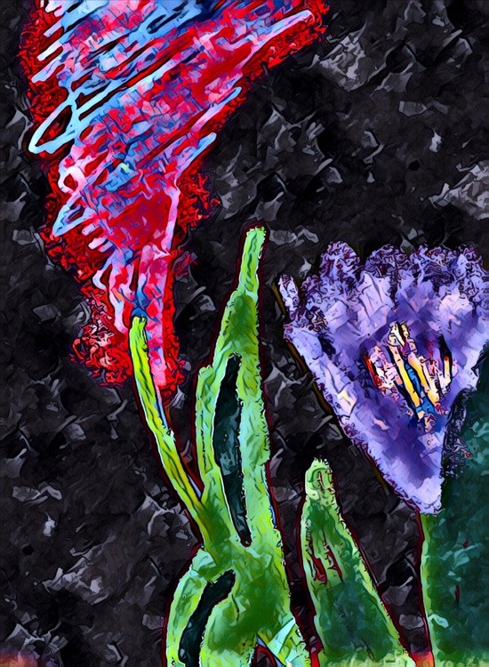 Flowers At Night