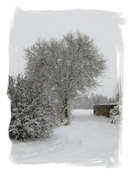Snowfall Taos, NM