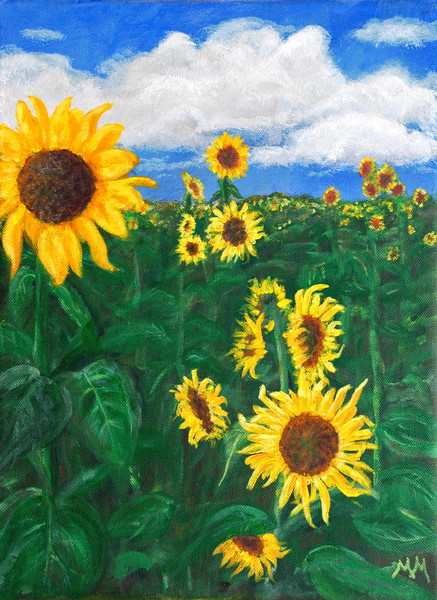 Sunflowers
