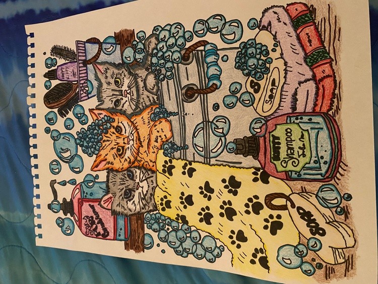 Drawing of kittens taking a bath 