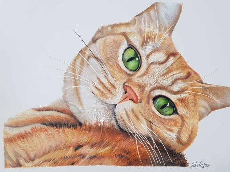 Tom Cat