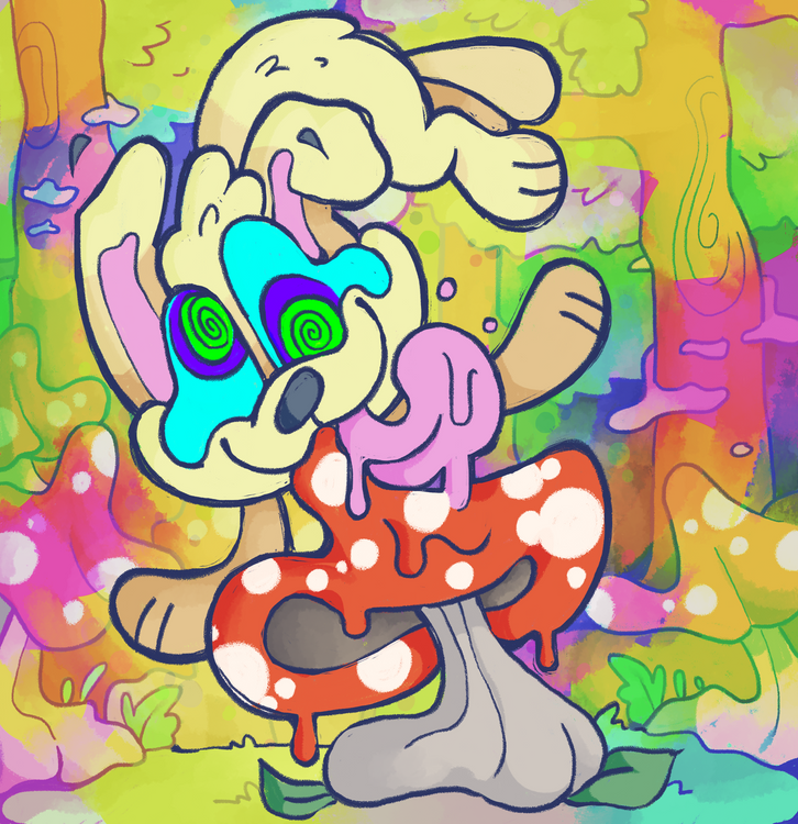 shroom