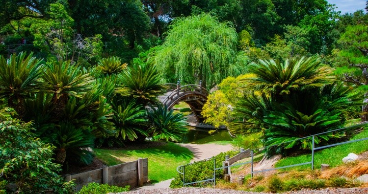 Japanese Gardens sunlit