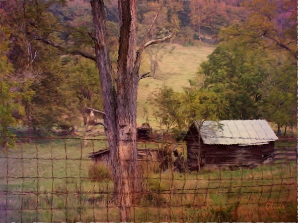 Old Wood And Tin Roofs
