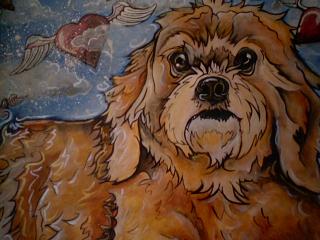 Pet Portrait