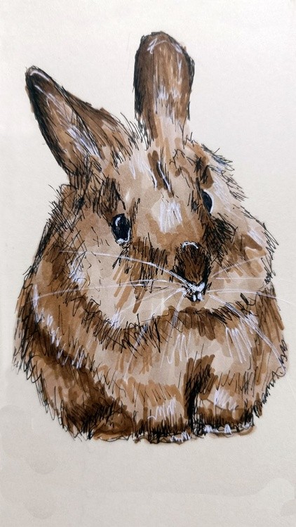 Fluffy 