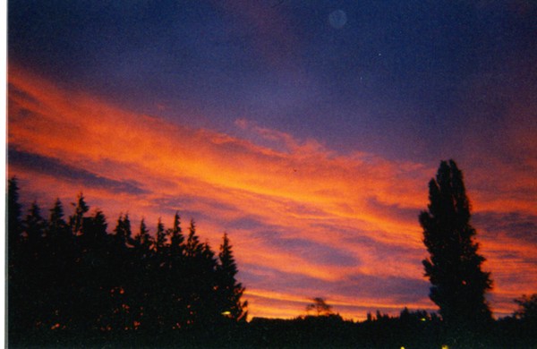 deceitful sky