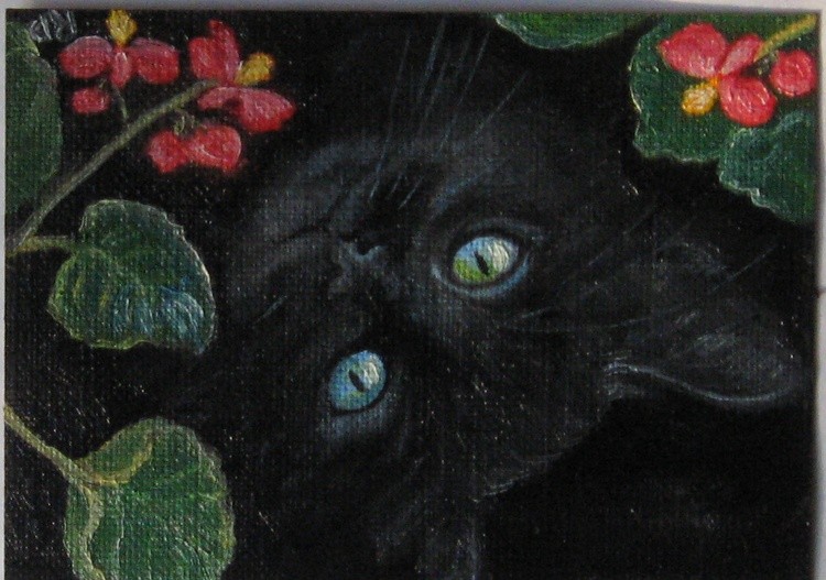 Under the Begonias