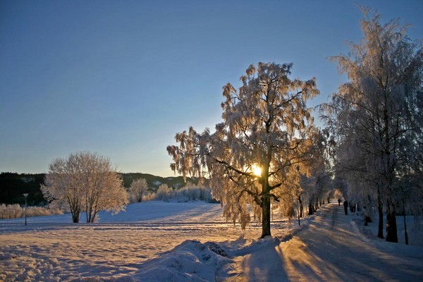 Winter mood at my work