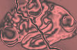 This is your brain on......pain