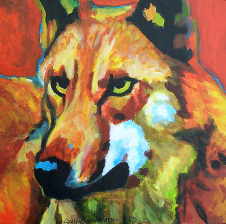 D162 wolf