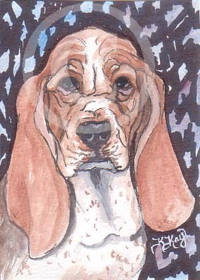 W&I Basset Hound