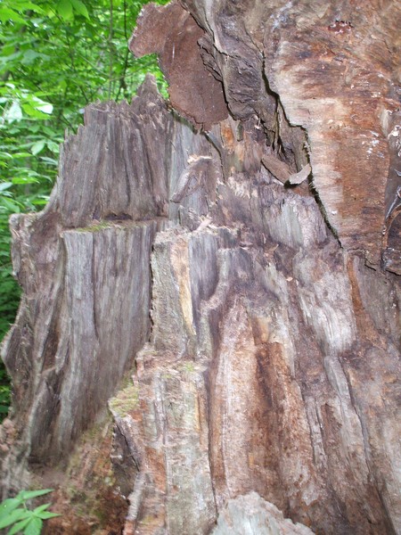The Dragons Maw.